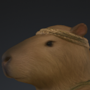 RUNCAPY