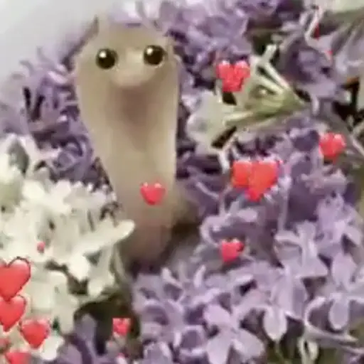 SNEK