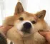 awkchan