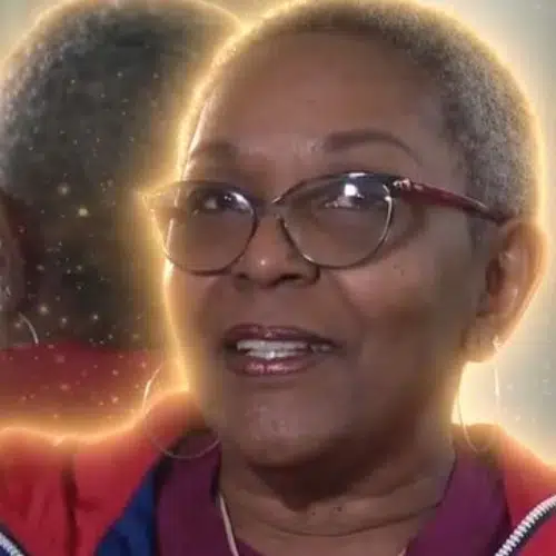 DENISE logo