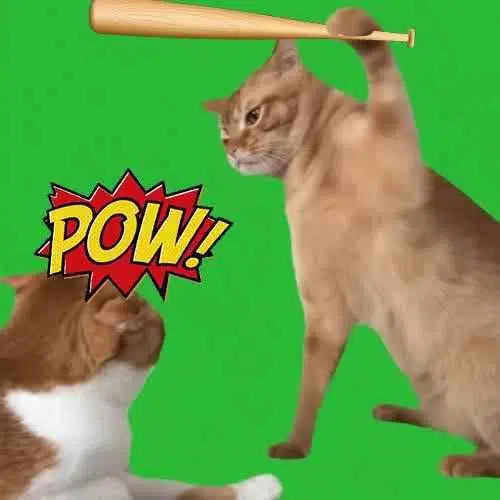 POW