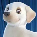 Pip