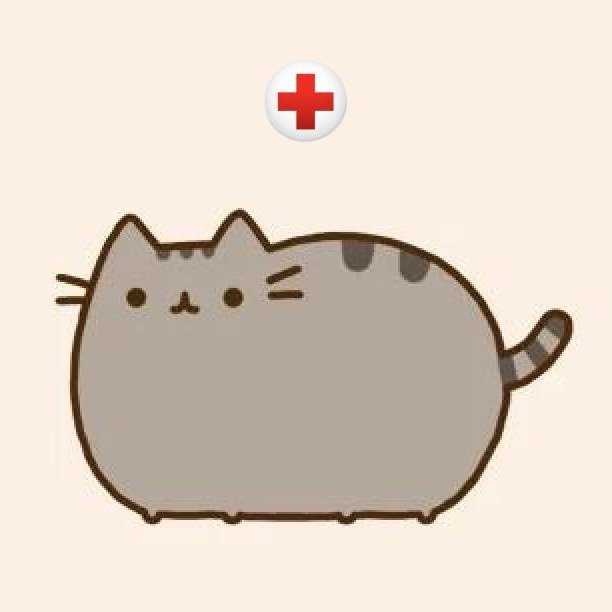 PUSHEEN
