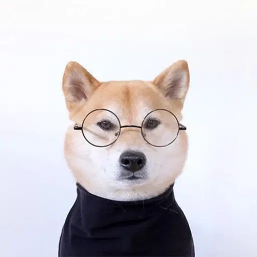 iNu