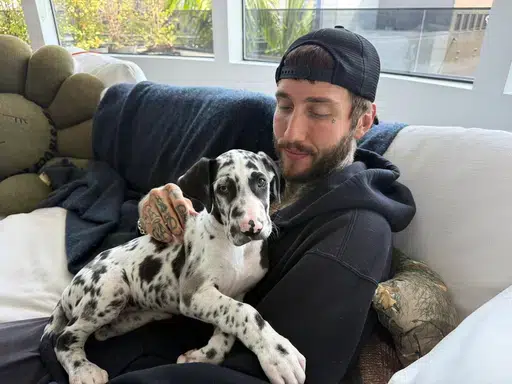 PENNY