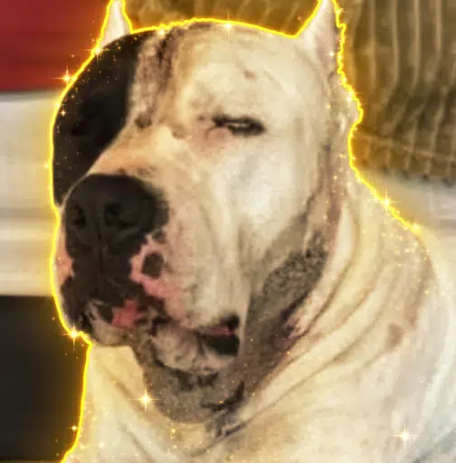 RAGNAR 
