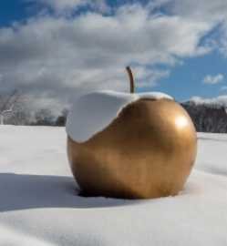 POMME