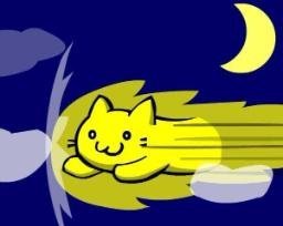 SPEEDYCAT logo