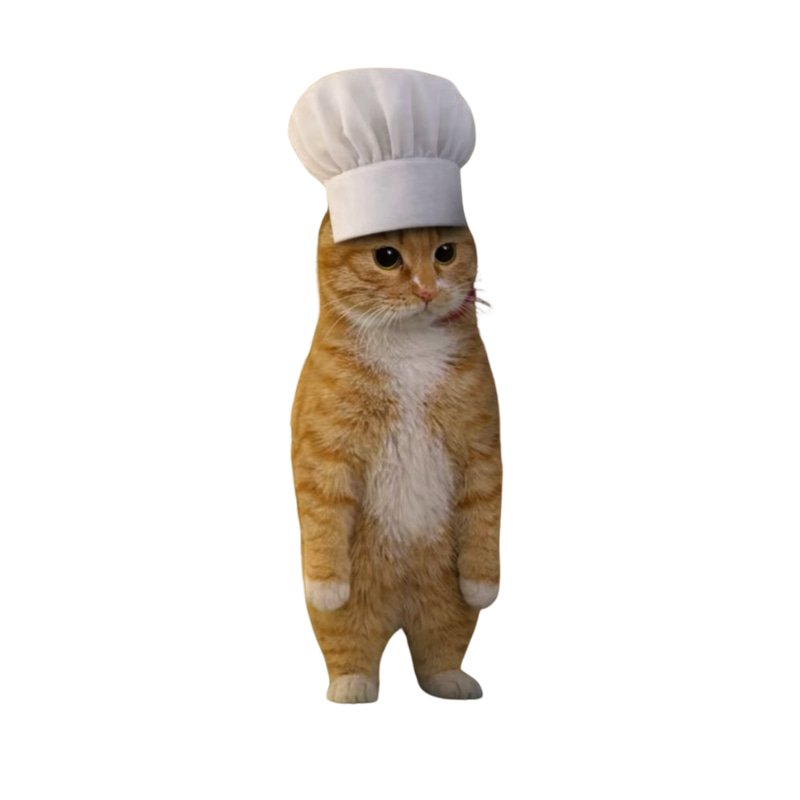 cook