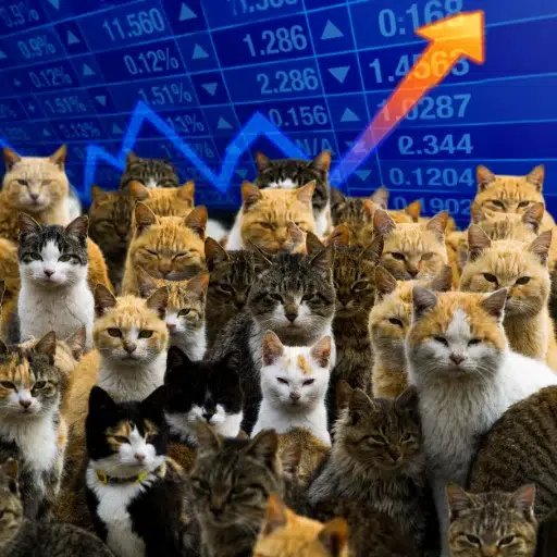 Catnomics — キャットノミクス Solana token traded by KOLs