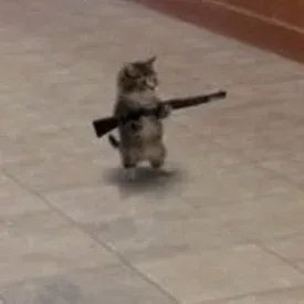 GUN
