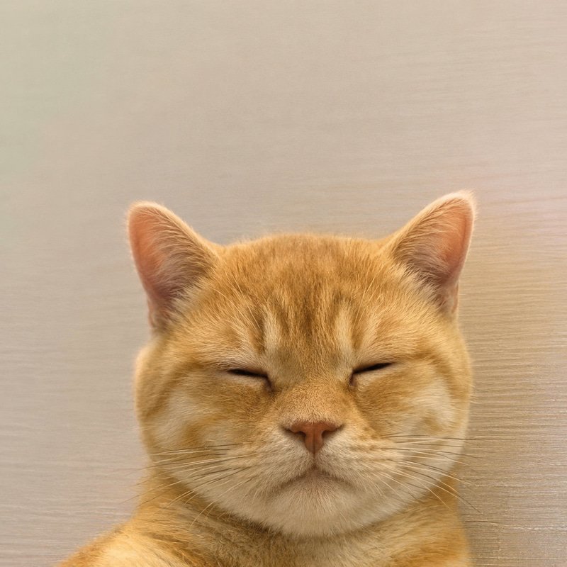 eepy