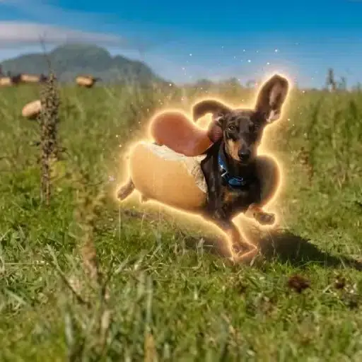 WienerDog