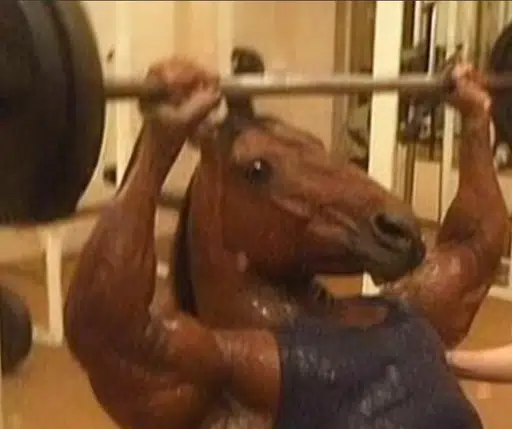 gigahorse