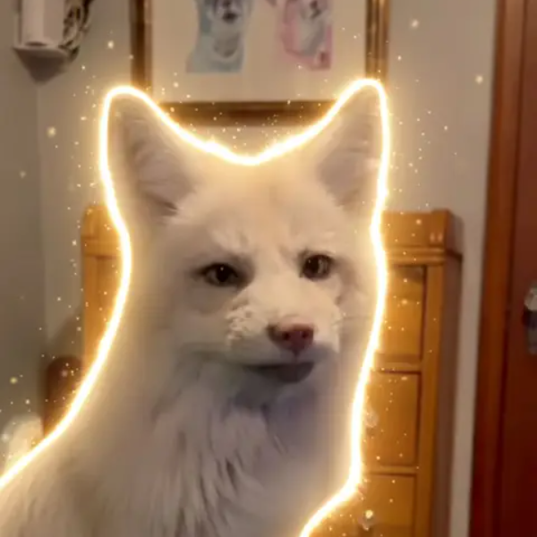 Nimbus