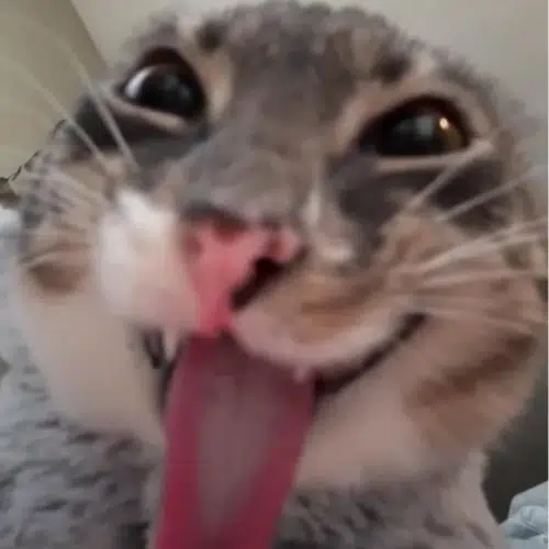 Rigby