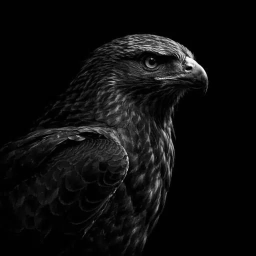 HAWK logo