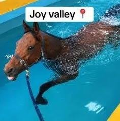 JOYVALLEY