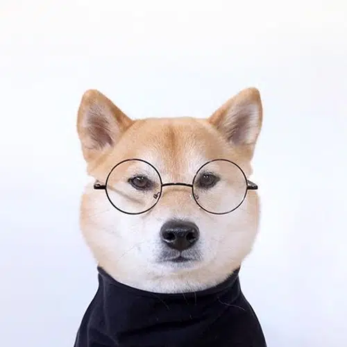 IDOG
