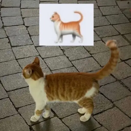 🐈