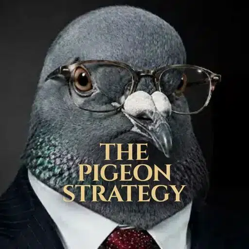PIGEON