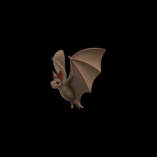 🦇