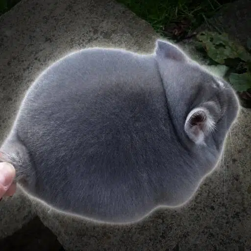 Beau