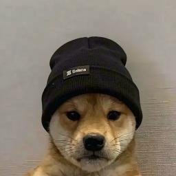 WIF