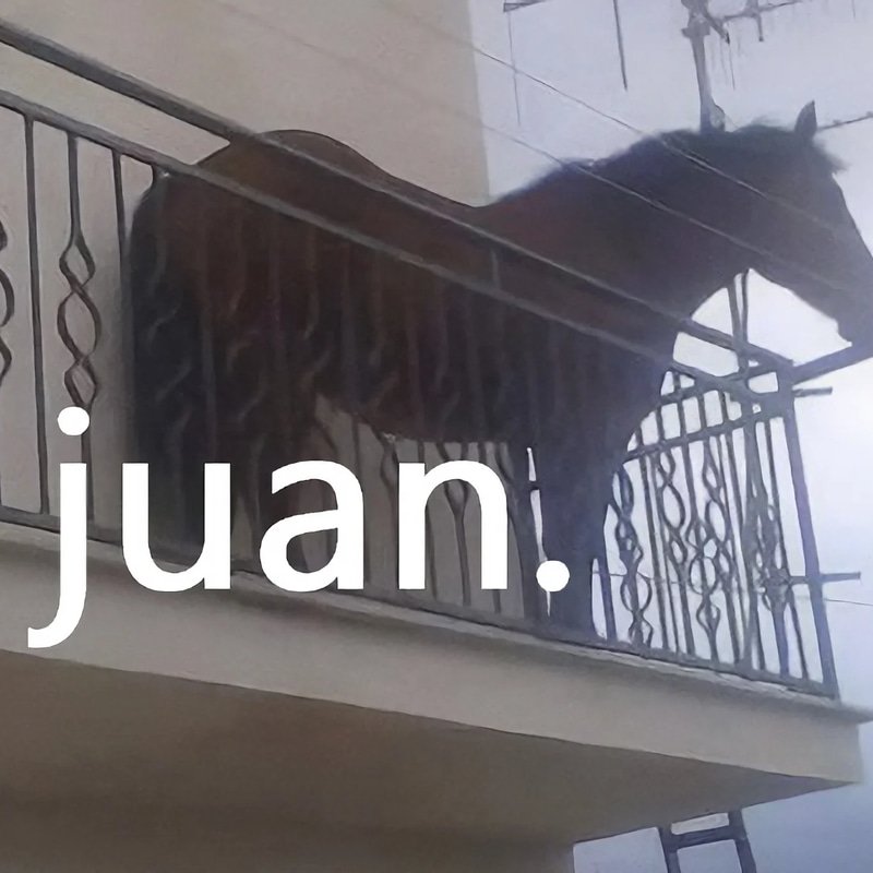 JUAN logo