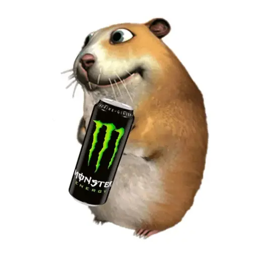 Chomik