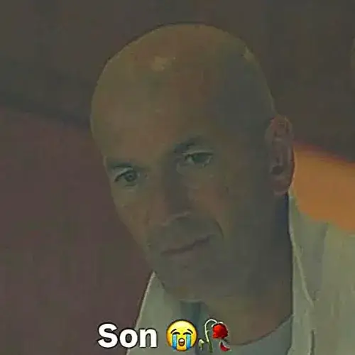 SON logo