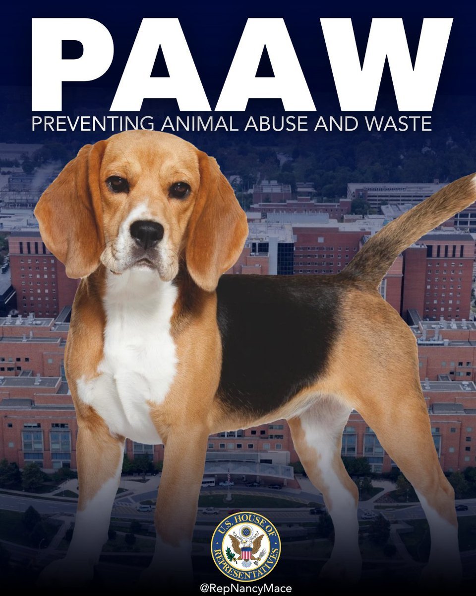 PAAW