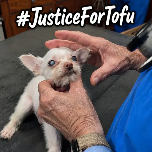 TOFU