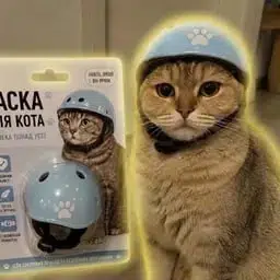 PUH