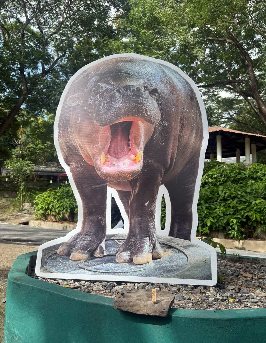 PORK