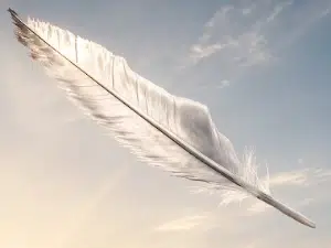 FEATHER